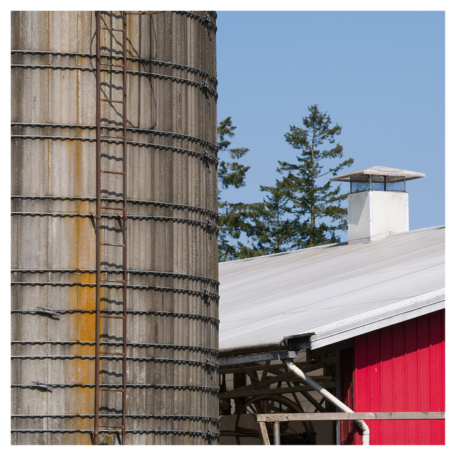 Cheese Farm 2025 3 Vancouver Island