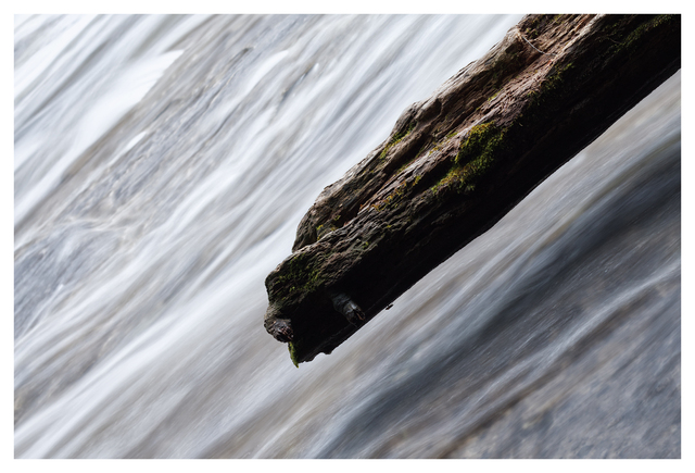 Nymph Falls 2025 3 Nature Images