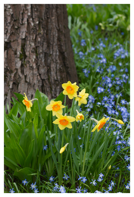 Filberg 2025 3 Nature Images