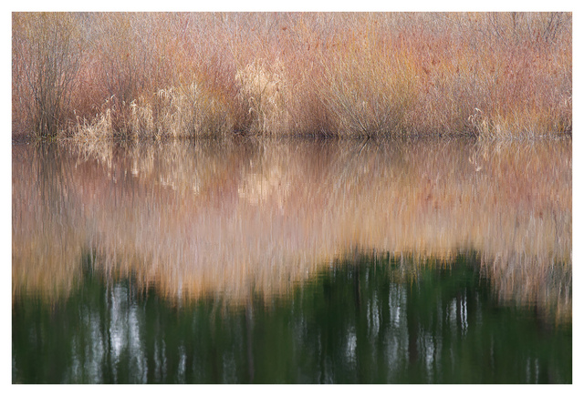 Little River Reflection 2025 1 Nature Images
