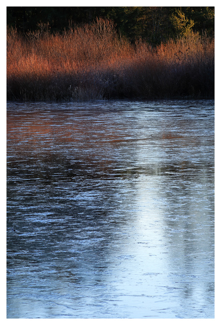 Ice 2025 1 Nature Images