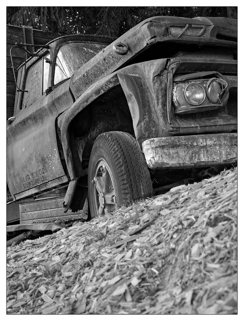 1963 GMC 2025 11 Black & White and Sepia