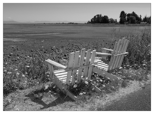 Beach Chairs 2025 1 Black & White and Sepia