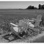 Beach Chairs 2025 1 - Black & White and Sepia