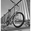 Bike at the Docks 2025 1 - Black & White and Sepia