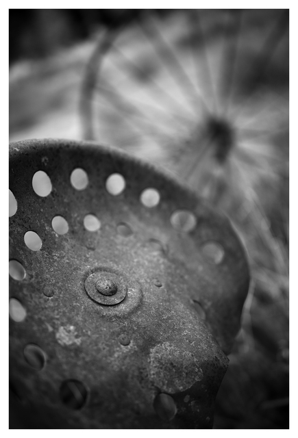 Rusty Seat 2025 1 Black & White and Sepia