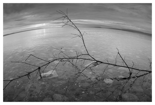 Point Holmes 2025 1 Black & White and Sepia