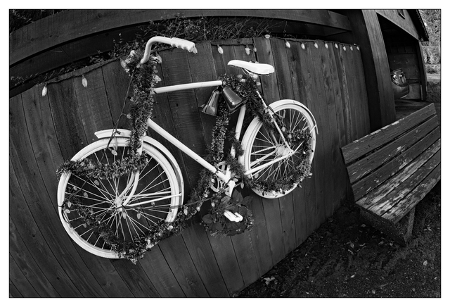 Festive bike 2025 1 Black & White and Sepia