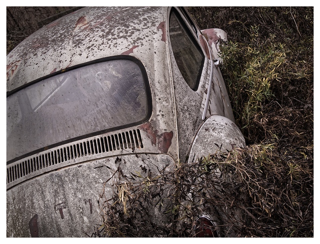 Old Bug 2025 2 Abandoned