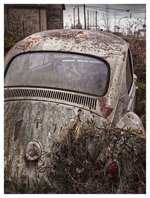 Old Bug 2025 3 Abandoned