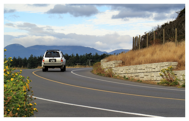 Point Holmes 2025 7 Automobile