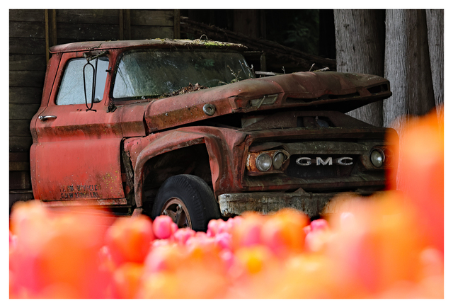 1963 GMC 2025 10 Abandoned