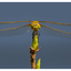 Yellow Dragonfly 2025 1 - Close-Up Photography