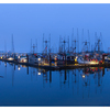 Fishing Boats 2025 1 - Comox Valley