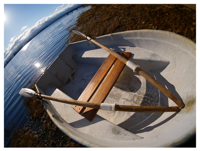 Row Boat 2025 1 Comox Valley