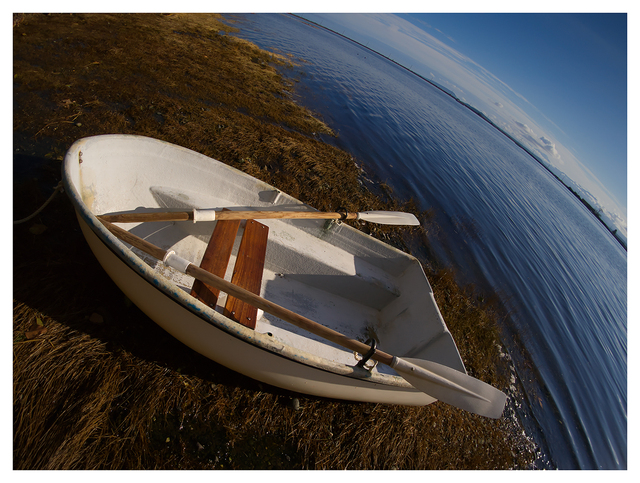 Row Boat 2025 2 Comox Valley