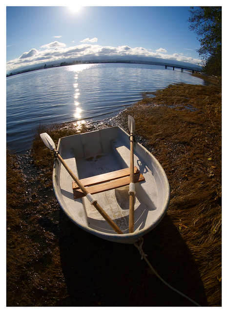 Row Boat 2025 3 Comox Valley