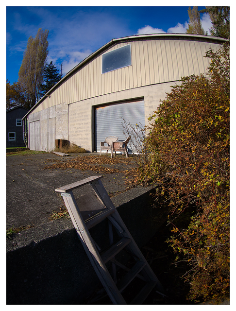 Old Ladder 2025 1 Comox Valley