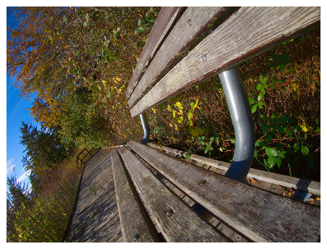 Old Bench 2025 1 Comox Valley