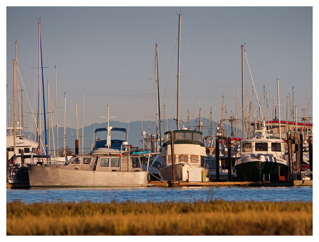 Harbour 2025 1 Comox Valley