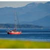 Sail Boat 2025 1 - Comox Valley