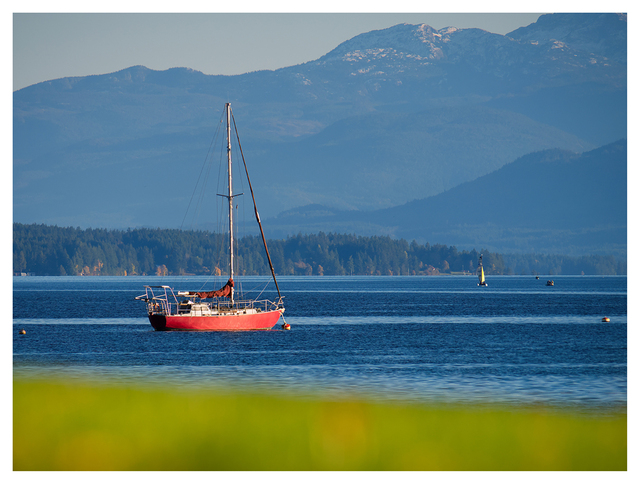 Sail Boat 2025 1 Comox Valley