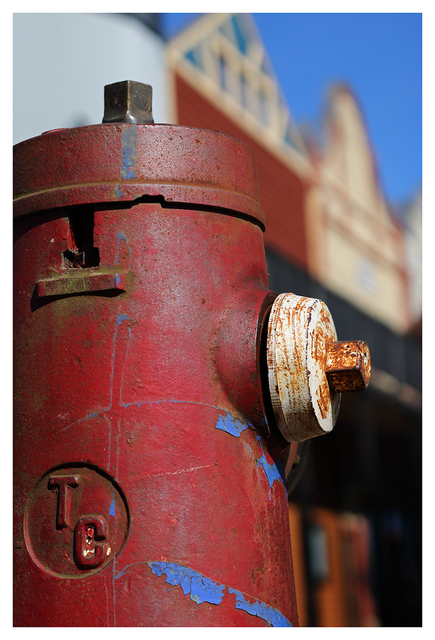 Cumberland 2025 14 Comox Valley