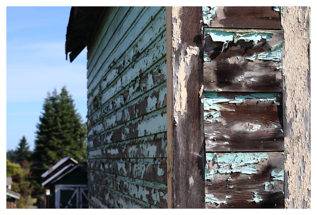 Cumberland 2025 3 Comox Valley