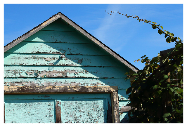 Cumberland 2025 2 Comox Valley