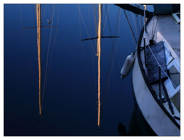 Comox Docks 2025 5 Comox Valley