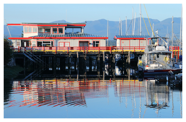 Comox Docks 2025 6 Comox Valley