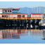 Comox Docks 2025 6 - Comox Valley