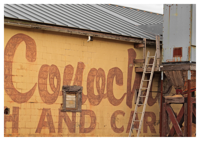 Sawdust 2025 1 Comox Valley