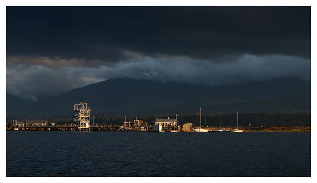 Goose Spit 2025 1 Comox Valley