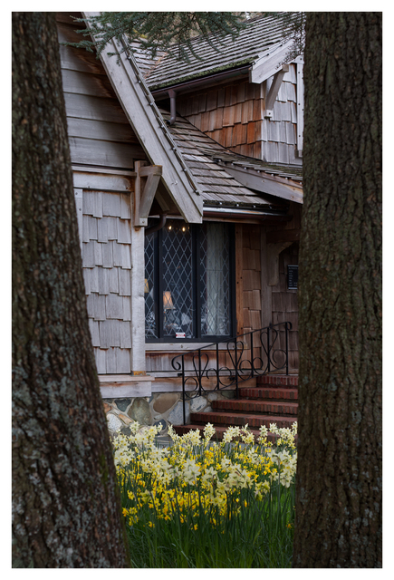 Filberg 2025 11 Comox Valley