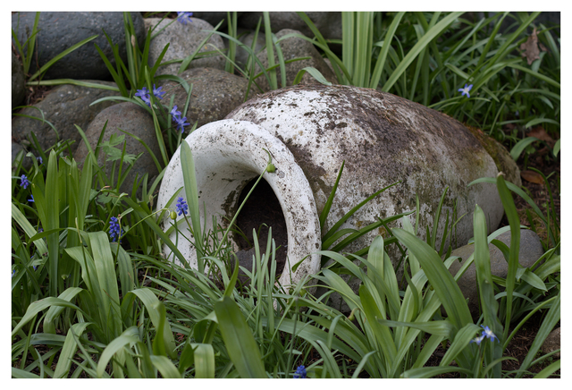 Filberg 2025 4 Comox Valley