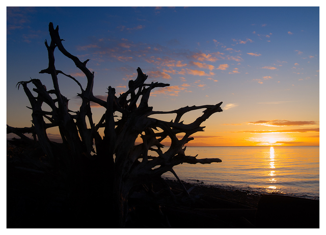 Point Holmes Sunrise 2025 1 Landscapes