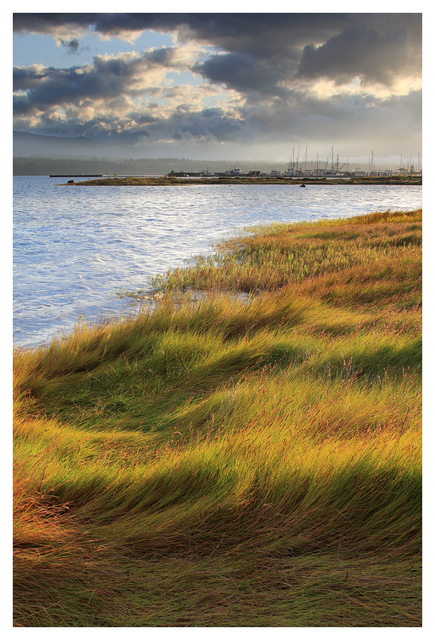 Filberg Beach 2025 1 Landscapes