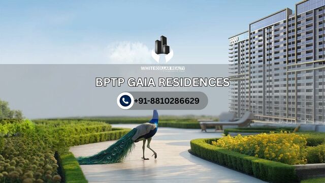 BPTP Gaia Residences Picture Box