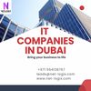 IT Companies in Dubai (33) - Picture Box