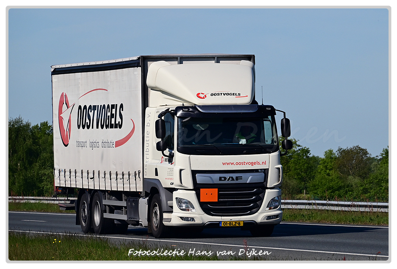 Oostvogels 01-BLZ-8-BorderMaker - 