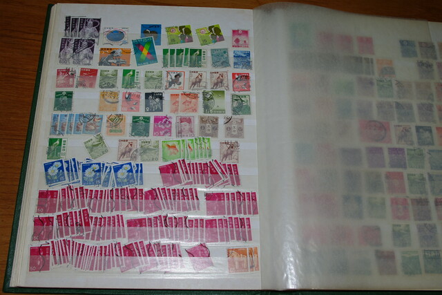 IMGP8564 Japan 1875-2000 old-modern zalias