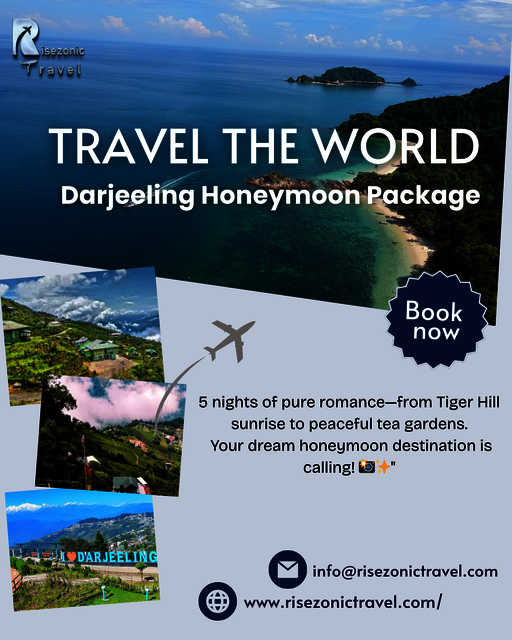 Blue Professional Photo Collage Travel Agency Inst Picture Box