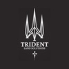 logo - Trident Land Solutions