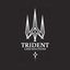 logo - Trident Land Solutions