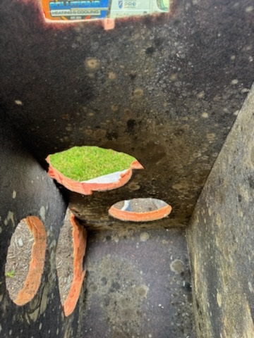 flood cleanup services Amazon Restoration Services