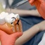 top dentist - NJ Affordable Same Day Root Canal