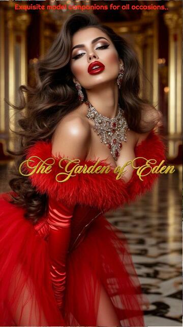 High class companions Cape Town Picture Box