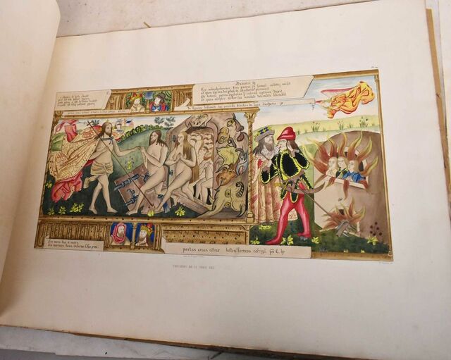 sansonette p Picture Box