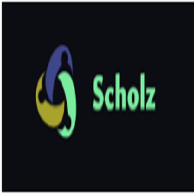 300 Scholz Gruppe